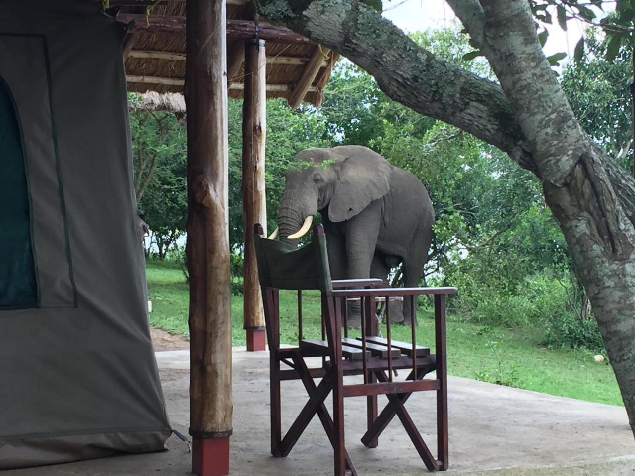 Queen Elizabeth Bush Lodge By Nature Lodges Ltd Katunguru Eksteriør billede